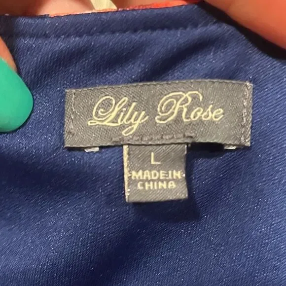 Lily Rose Fit & Flare Dress Floral Short Sleeve Scoop Neck Multicolor Size L - Picture 4 of 7